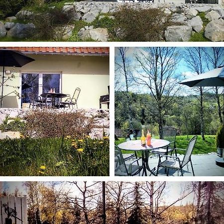 Zaunkönig 1. Villa Tanne Dış mekan fotoğraf