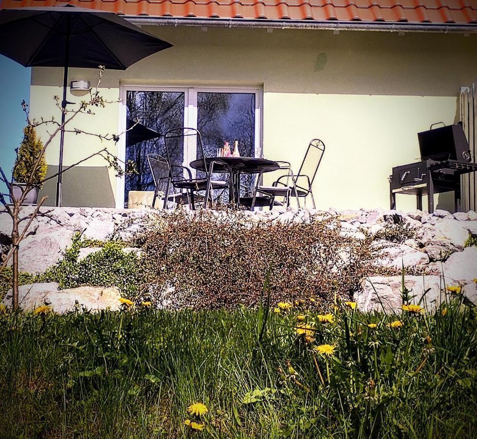 Zaunkönig 1. Villa Tanne Dış mekan fotoğraf
