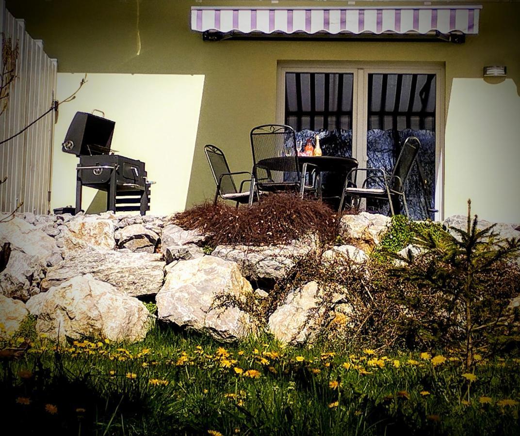 Zaunkönig 1. Villa Tanne Dış mekan fotoğraf