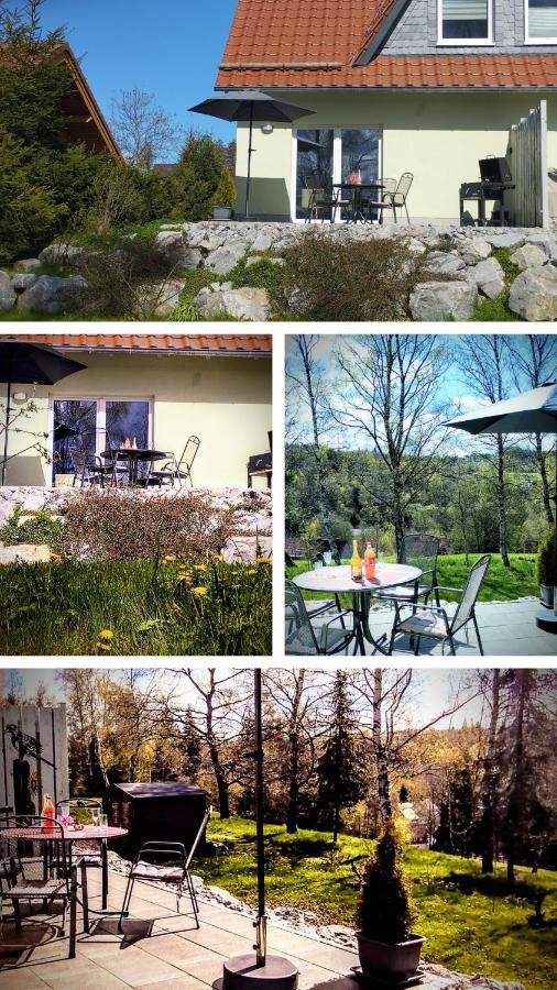 Zaunkönig 1. Villa Tanne Dış mekan fotoğraf